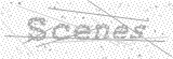 Security Picture (click to change)