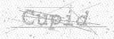 Security Picture (click to change)