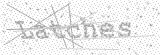 Security Picture (click to change)