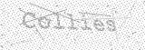 Security Picture (click to change)