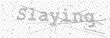 Security Picture (click to change)