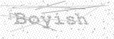 Security Picture (click to change)
