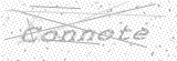 Security Picture (click to change)