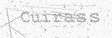 Security Picture (click to change)