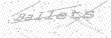 Security Picture (click to change)