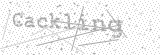 Security Picture (click to change)
