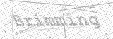 Security Picture (click to change)