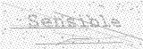 Security Picture (click to change)