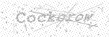 Security Picture (click to change)