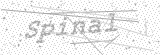Security Picture (click to change)