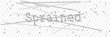 Security Picture (click to change)
