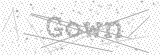 Security Picture (click to change)