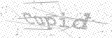 Security Picture (click to change)