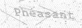 Security Picture (click to change)