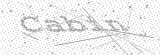 Security Picture (click to change)