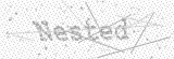 Security Picture (click to change)