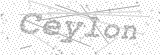 Security Picture (click to change)