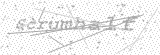 Security Picture (click to change)