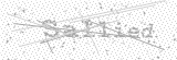 Security Picture (click to change)