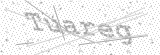 Security Picture (click to change)