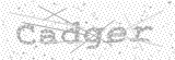 Security Picture (click to change)
