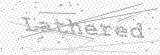 Security Picture (click to change)