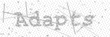 Security Picture (click to change)