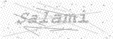 Security Picture (click to change)