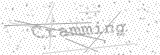Security Picture (click to change)