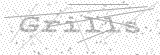 Security Picture (click to change)