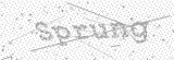 Security Picture (click to change)