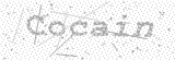 Security Picture (click to change)