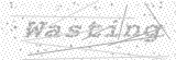 Security Picture (click to change)