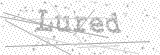 Security Picture (click to change)