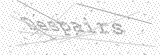 Security Picture (click to change)