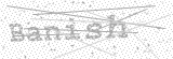 Security Picture (click to change)