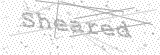 Security Picture (click to change)