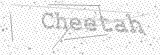 Security Picture (click to change)