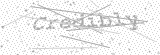 Security Picture (click to change)