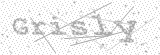 Security Picture (click to change)