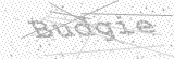 Security Picture (click to change)