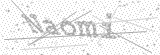 Security Picture (click to change)