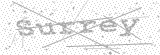 Security Picture (click to change)
