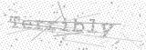 Security Picture (click to change)