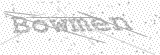 Security Picture (click to change)