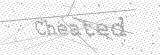 Security Picture (click to change)