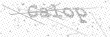 Security Picture (click to change)
