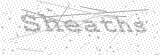 Security Picture (click to change)