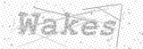 Security Picture (click to change)