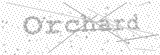 Security Picture (click to change)